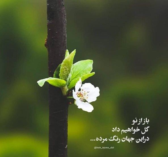 عکس جملات انگیزشی کوتاه زیبا