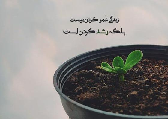 عکس جملات انگیزشی زندگی کوتاه