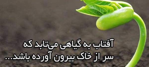 عکس جملات انگیزشی به زبان عامیانه