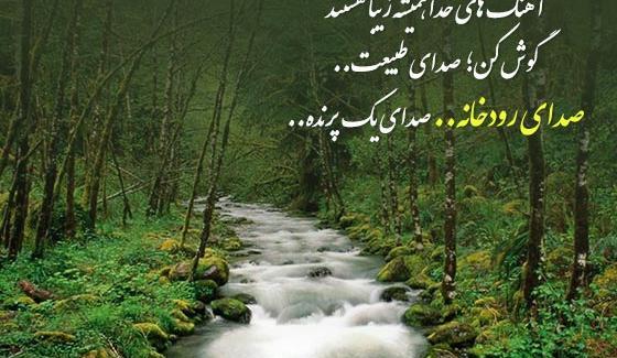 عکس جملات انگیزشی طبیعت گردی