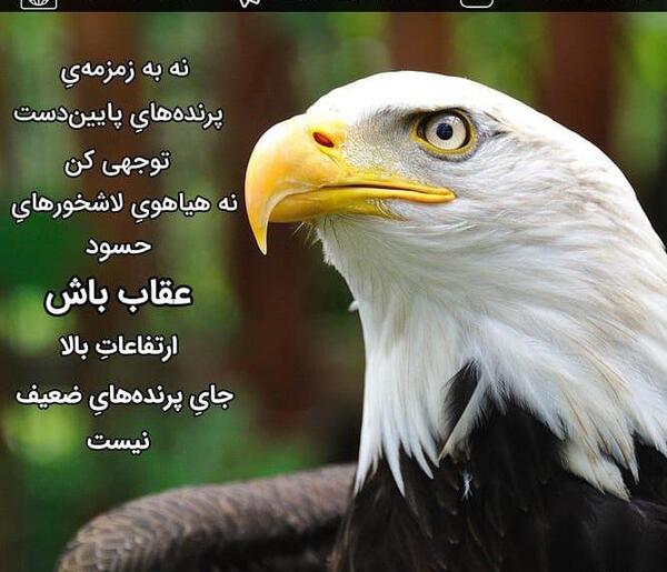 عکس جملات انگیزشی در مورد صبر