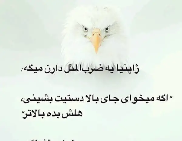 عکس جملات انگیزشی به زبان ژاپنی