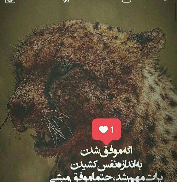 عکس جملات انگیزشی برای تلاش و موفقیت