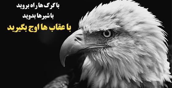 عکس جملات انگیزشی درباره پرواز