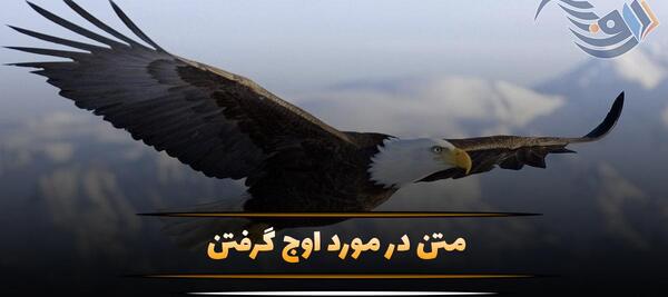 عکس جملات انگیزشی درباره پرواز