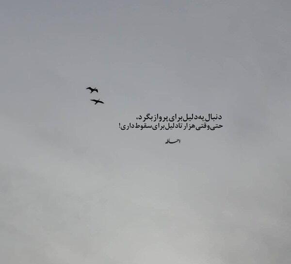 عکس جملات انگیزشی درباره پرواز