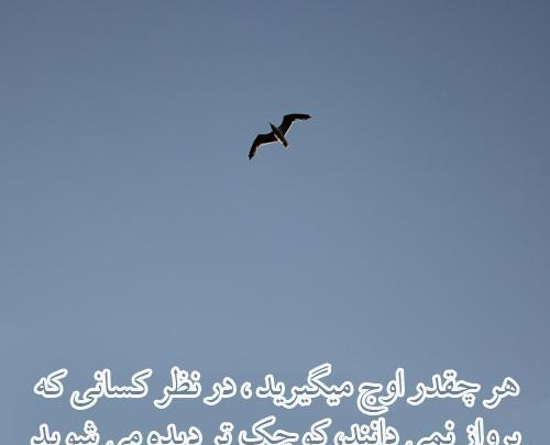 عکس جملات انگیزشی درباره پرواز