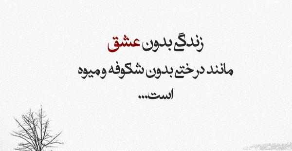 عکس جملات انگیزشی برای بیو اینستاگرام