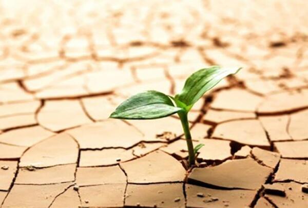 عکس جملات انگیزشی امید به آینده