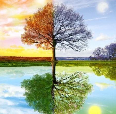 عکس نقاشی ساده چهار فصل برای کلاس اول
