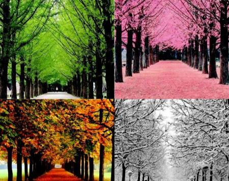عکس نقاشی ساده چهار فصل برای کلاس اول