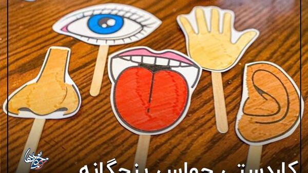 عکس نقاشی ساده حواس پنجگانه کلاس دوم