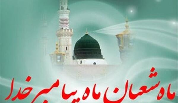 عکس امیر شعبانی