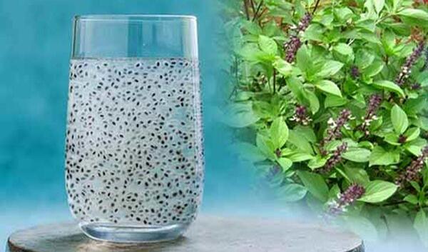 عکس امیر شربتی
