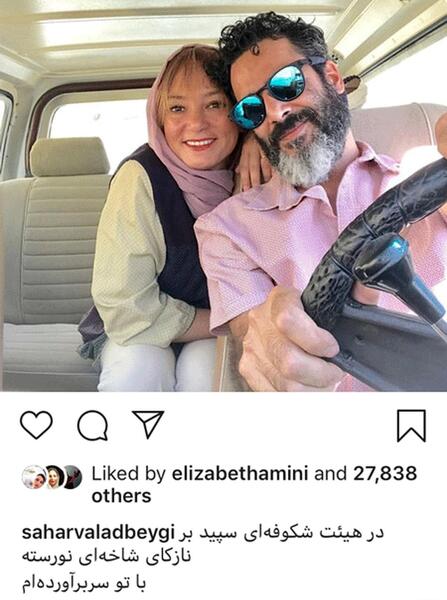 عکس امیر فلاح