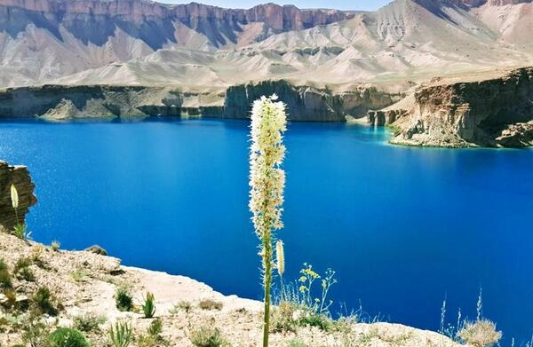 عکس امیر خوشگل