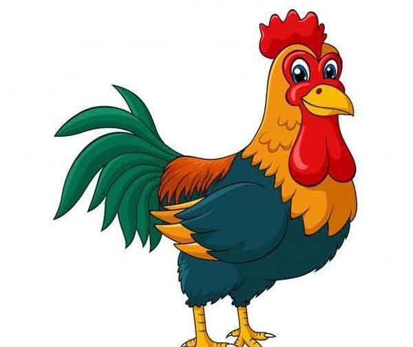 عکس نقاشی ساده مرغ و خروس