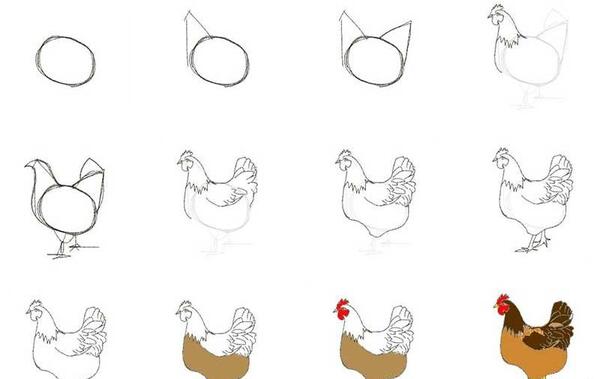 عکس نقاشی ساده مرغ و خروس
