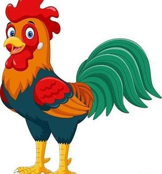 عکس نقاشی خروس ساده و زیبا