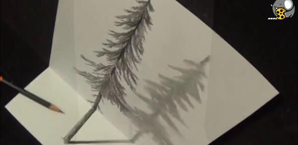 عکس نقاشی ساده درخت کاج