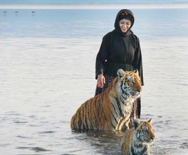 عکس پلنگ با ببر