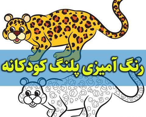 عکس پلنگ می خوام