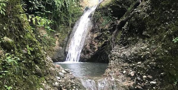 عکس پلنگ دره مازندران