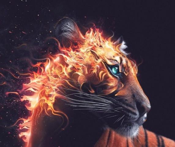 عکس پلنگ برای پس زمینه گوشی