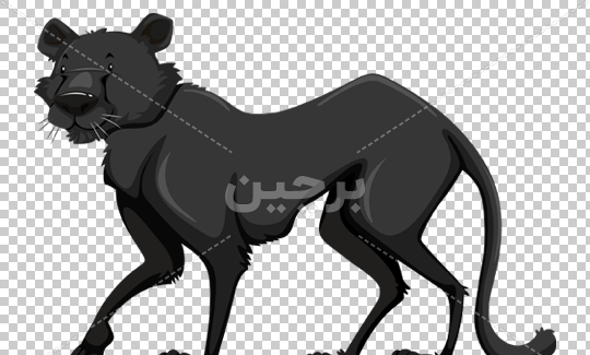 عکس توله پلنگ سیاه