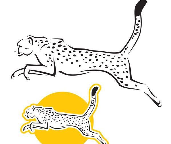 عکس تاتوی پلنگ