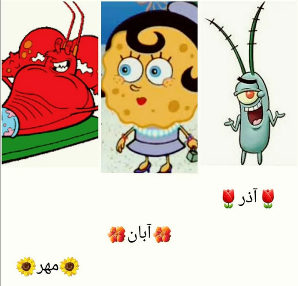عکس پلانکتون و کارین