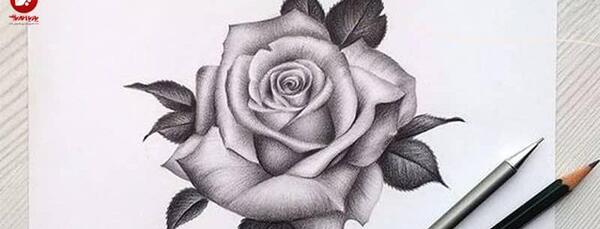 عکس نقاشی ساده سیاه قلم گل