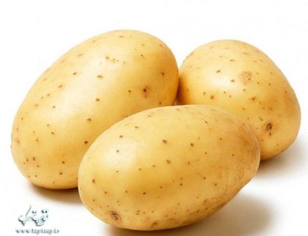 عکس نقاشی ساده سیب زمینی