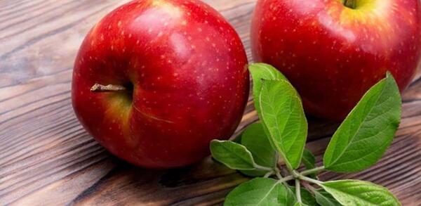 عکس نقاشی ساده سیب درختی