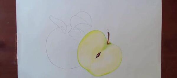 عکس نقاشی ساده سیب درختی