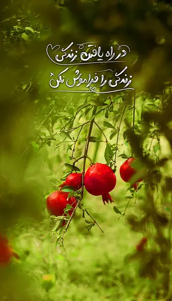 بهترین عکس پروفایل در مورد خدا
