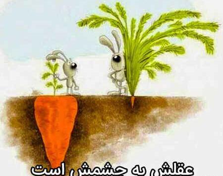 عکس ضرب المثل های ساده همراه با نقاشی