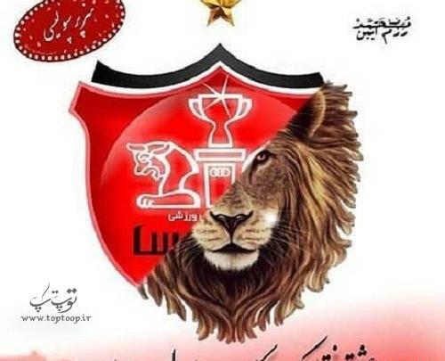 بهترین عکس پرسپولیس برای پروفایل