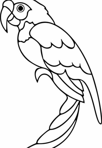 عکس نقاشی ساده طوطی کودکانه
