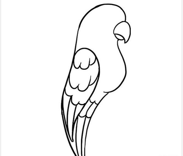 عکس نقاشی ساده طوطی برای کودکان