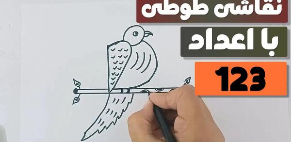 عکس نقاشی طوطی ساده مرحله به مرحله