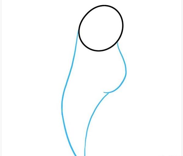 عکس نقاشی طوطی ساده مرحله به مرحله