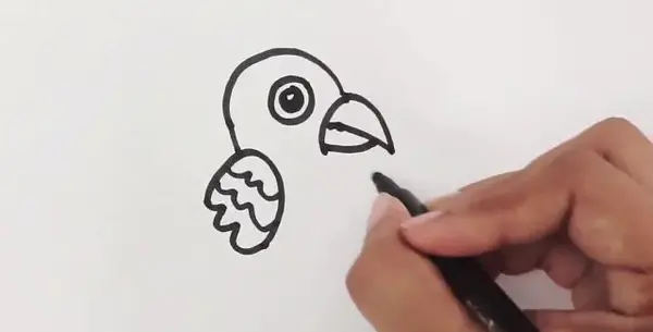عکس نقاشی ساده ی طوطی