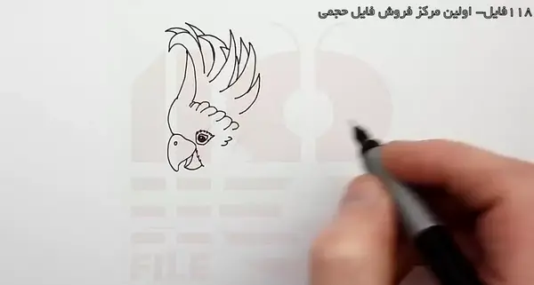 عکس آموزش نقاشی ساده طوطی