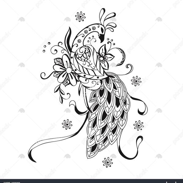 عکس نقاشی ساده طاووس با دست
