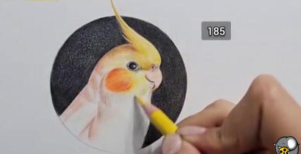 عکس نقاشی ساده عروس هلندی