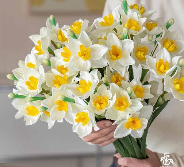 عکس زیبای گل نرگس برای پروفایل