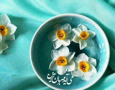 عکس زیبای گل نرگس برای پروفایل
