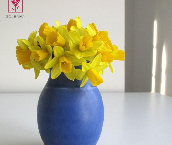 عکس گل های زیبای نرگس