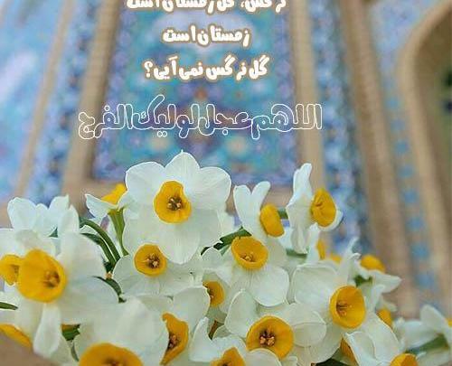 عکس گل نرگس برای والپیپر